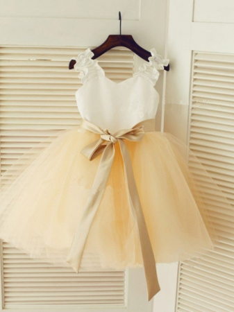 Straps Ball Gown Sleeveless Sash/Ribbon/Belt Long Tulle Dresses