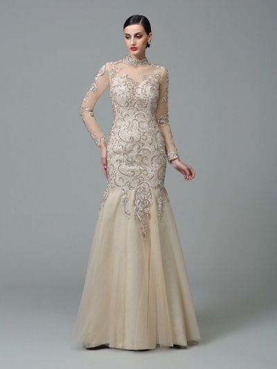 Sheath/Column High Neck Applique Long Sleeves Long Net Dresses [60067]