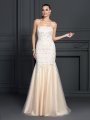 Trumpet/Mermaid Strapless Lace Sleeveless Long Satin Dresses