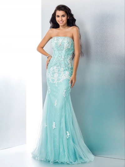 Trumpet/Mermaid Strapless Applique Sleeveless Long Lace Dresses [60118]