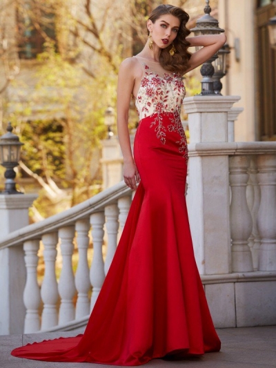 Trumpet/Mermaid Sheer Neck Sleeveless Court Train Applique Stain Dresses [70048]