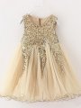 A-Line/Princess Sleeveless Jewel Sequins Tulle Short/Mini Flower Girl Dresses