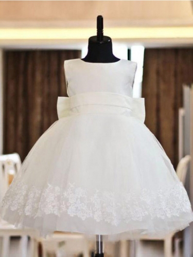 A-line/Princess Scoop Lace Sleeveless Long Organza Flower Girl Dresses