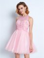 A-line/Princess Sleeveless Jewel Short/Mini Net Ruffles Dresses