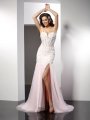 Trumpet/Mermaid Spaghetti Straps Applique Sleeveless Long Tulle Dresses