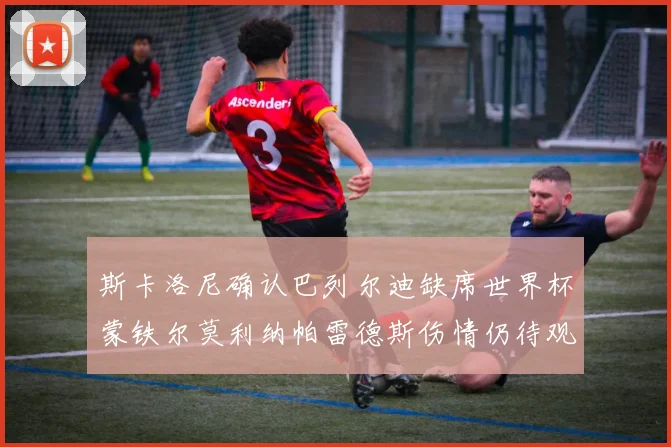 斯卡洛尼确认巴列尔迪缺席世界杯蒙铁尔莫利纳帕雷德斯伤情仍待观察
