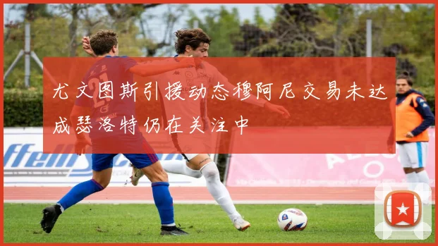 尤文图斯引援动态穆阿尼交易未达成瑟洛特仍在关注中