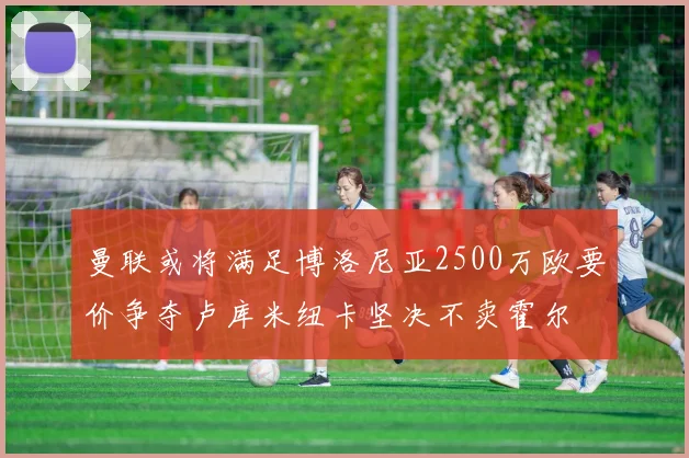 曼联或将满足博洛尼亚2500万欧要价争夺卢库米纽卡坚决不卖霍尔